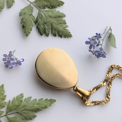 Edelstahl Vergissmeinnicht Medaillon Halskette, Goldfarben, 2cm Anhänger mit Echten Blüten und Blättern, Handgefertigt in Harz